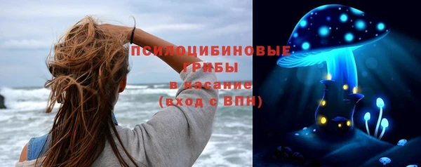 прущий лед Алексеевка