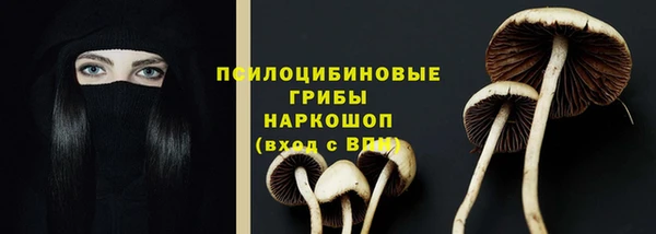 прущий лед Алексеевка