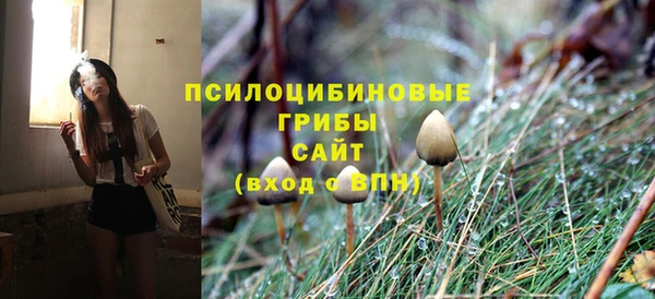 прущий лед Алексеевка