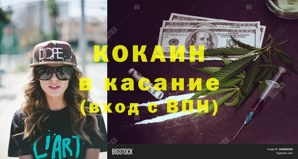прущие грибы Алзамай