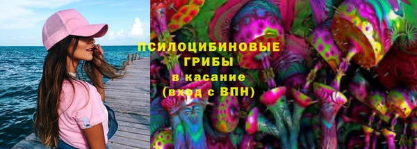 прущие грибы Алзамай
