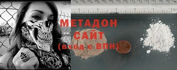 прущие грибы Алзамай
