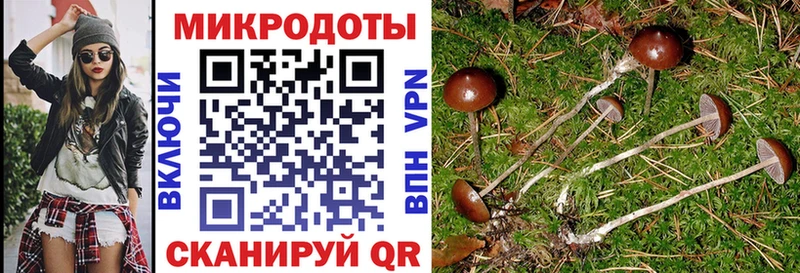 Галлюциногенные грибы мицелий  мега сайт  Болхов 